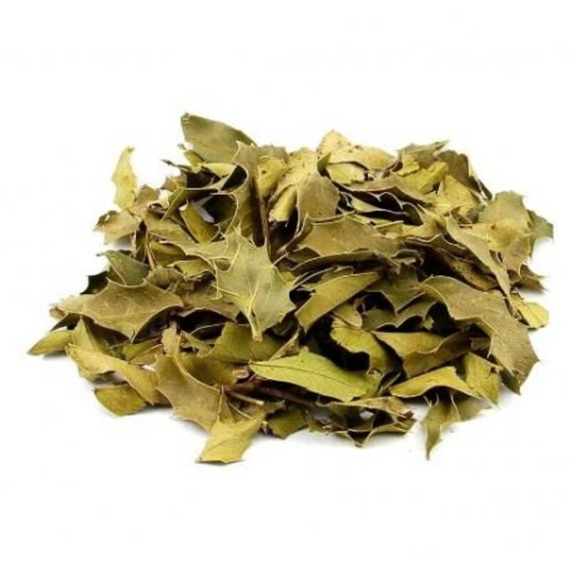 Chá Espinheira Santa (50g)